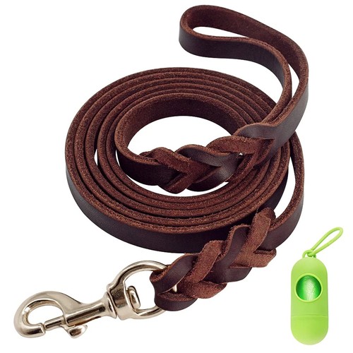 Guinzaglio pelle per cani - in,