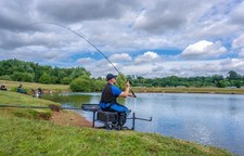 Asta di alimentazione