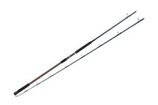 Canna surf dblue - da,
