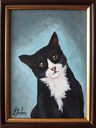 Quadro gatto nero animale
