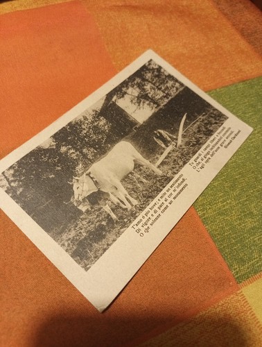 Catolina 1918 verificata - 1918, per