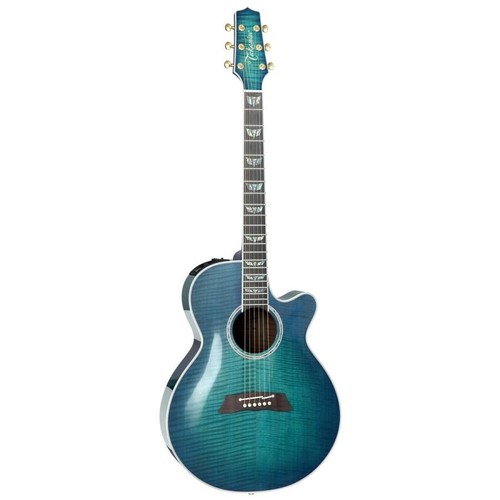 Takamine fpt181ac sbb acoustic - takamine,