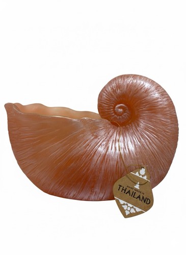 Fioriera conchiglia nautilus - fioriera,