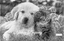 DOG & CAT LABRADOR GOLDEN RETRIVER Original Graphite Pencil Drawing 9.5" x 13"