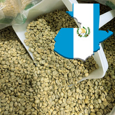 5 LB GUATEMALA, CHICCHI DI