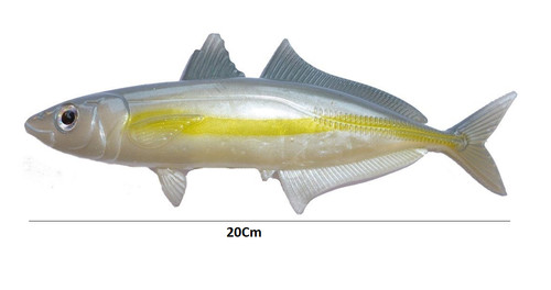 Sugarello pesce gomma - pesce,