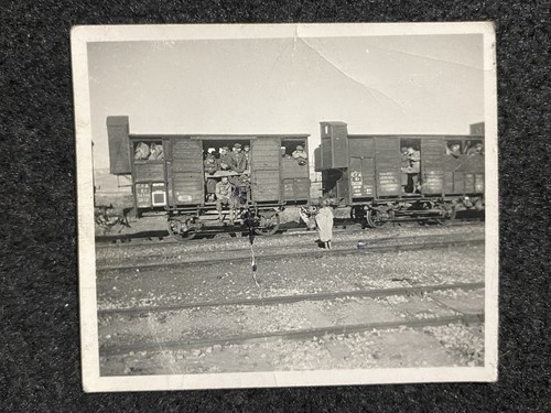 Ww2 soldatino nord africa - ww2,
