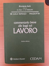Commentario Breve Alle Leggi