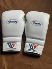 Guantoni da boxe 14 oz pelle