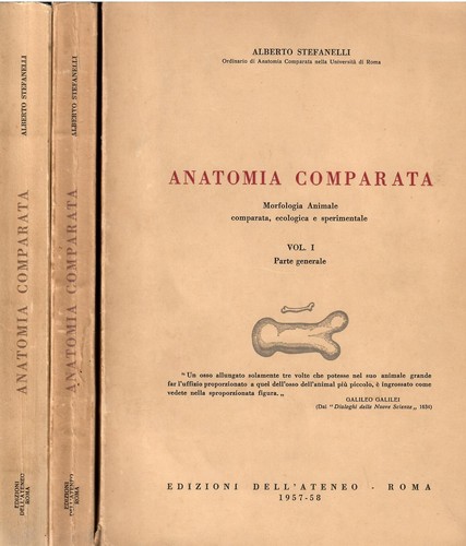 Anatomia comparata morfologia - comparata.,
