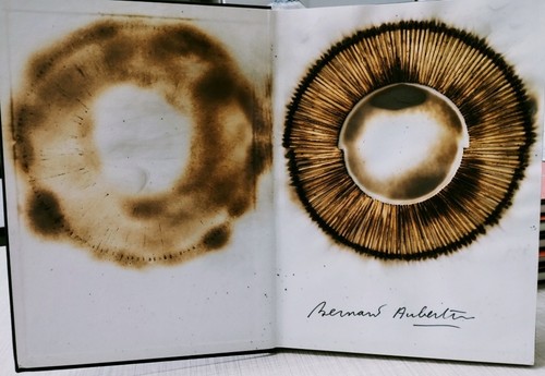 Bernard aubertin livre - bernard,