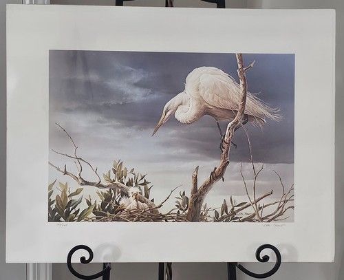 Litografia egret with young - litografia,