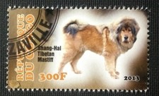 135.CONGO 2013 (300F)