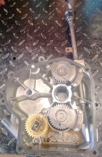 Coperchio laterale oem briggs - coperchio,