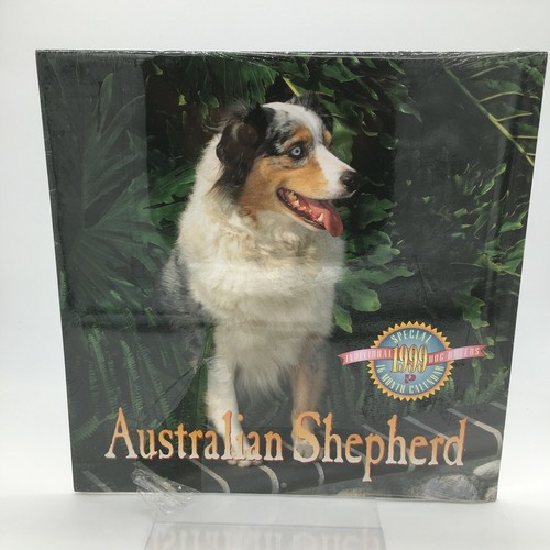 Calendario pastore australiano