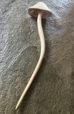 SPILLA BASTONE PER CAPELLI