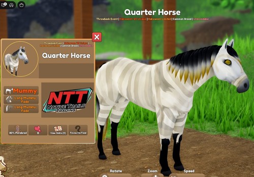Wild horse islands evento di - horse,