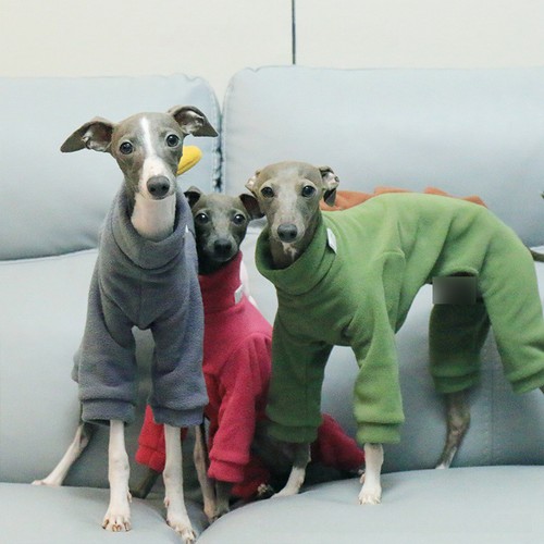 Tuta invernale pile - in, polare