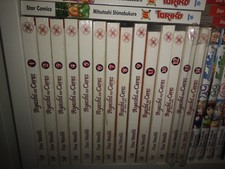 Ayashi No Ceres 1/14 Serie