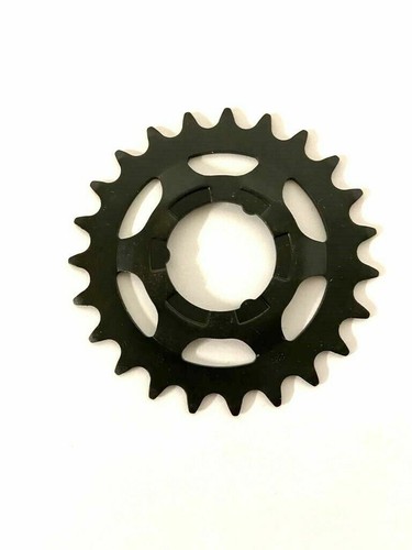 Pignone corona dentata - -,