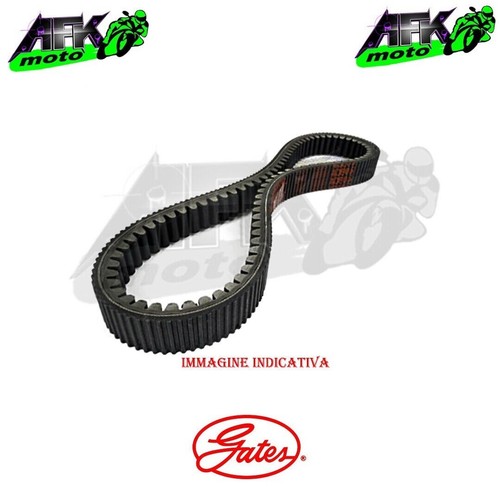 Cinghia trasmissione gates - cinghia,