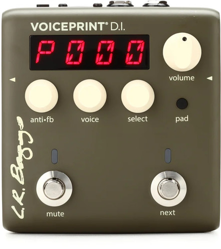 Baggs voiceprint acustica - lr,