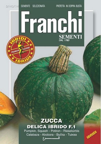 Semi seeds zucca delica - 10, semi/seeds
