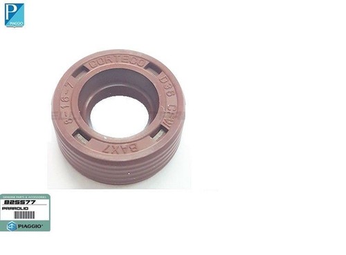 825577 paraolio pompa - 825577, acqua