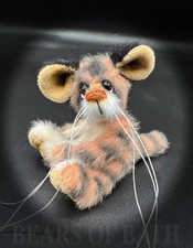 Aarish un cucciolo di tigre