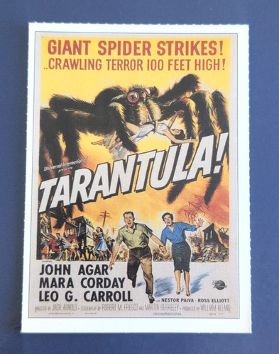 Tarantola cartolina - tarantola,