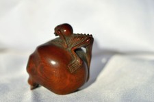 Antico teschio giapponese