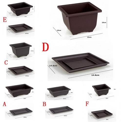 Vaso per piante - , astuccio