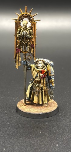 Pro painted warhammer - pro,