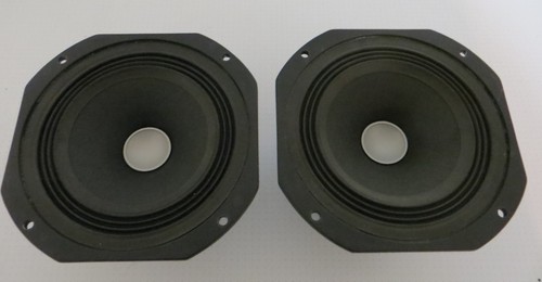Coppia chassis cantare - cantare, veravox