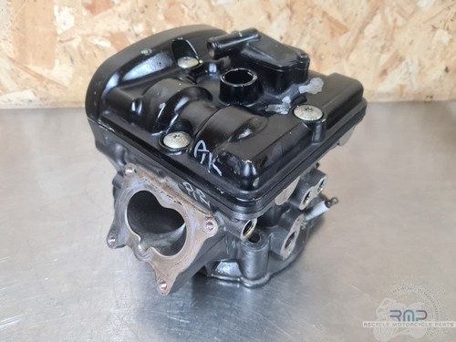 Testa posteriore nuda - , ducati
