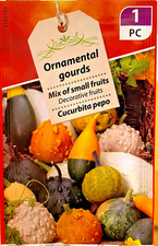 SEMI DI ZUCCA,  Mix di piccole