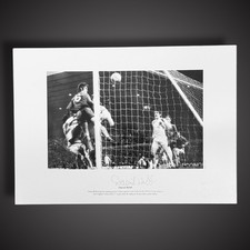 Foto Chelsea David Webb