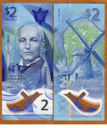 Banconodos barbados - banconodos,