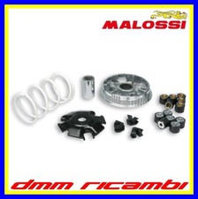 Variatore MALOSSI Multivar