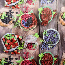 Tela Cerata Tovaglia Frutta