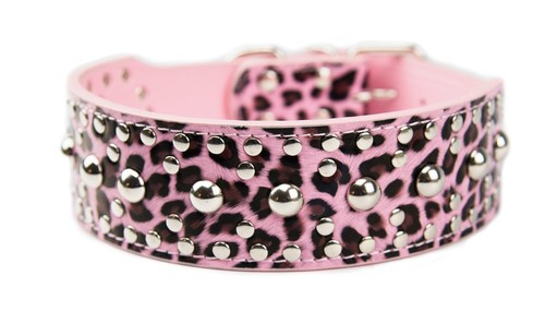 Collare per cani - in, metallo