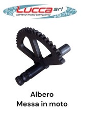 FM100102 Albero Messa In Moto