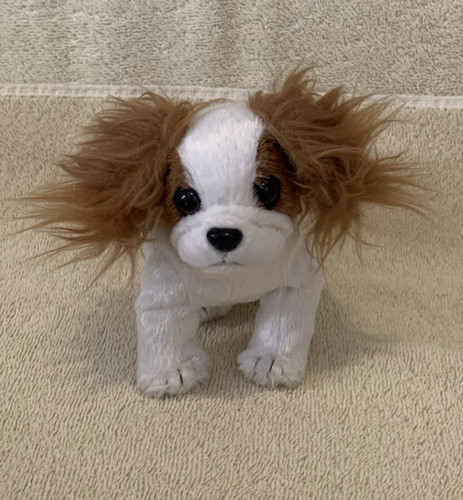 2000 beanie baby regal the - 2000,