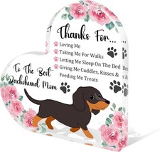 Tian Zhun Bassotto Regali per