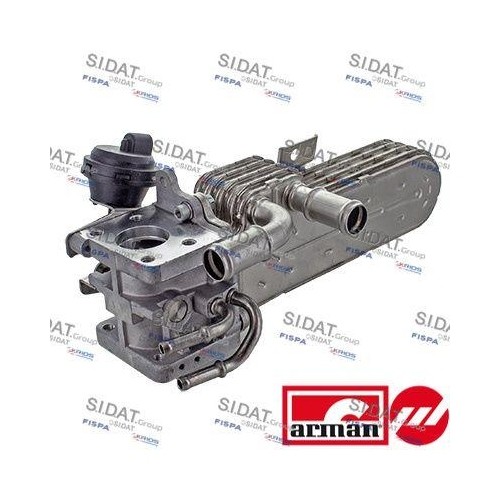 Radiatore ricircolo gas - , di