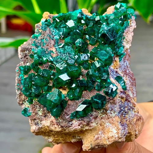 258g dioptasi verde naturale - 258g,