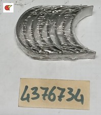 KIT SERIE BRONZINE BIELLA