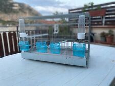 Gabbie per uccelli da cova da 55 