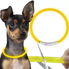 Collare Luminoso per Cane di