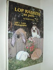 Lop rabbits pets - rabbits,